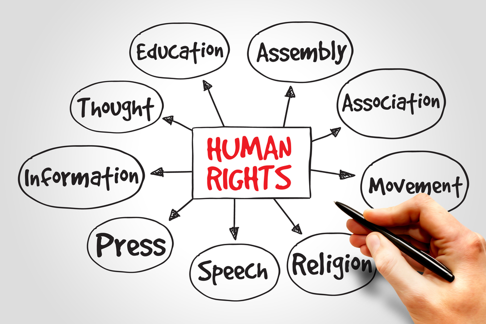 human rights diagram