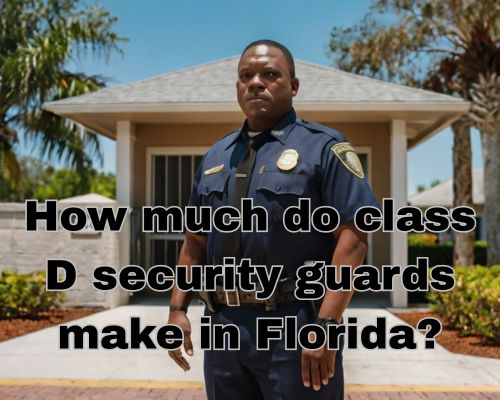 a licensed security guard standing in his post