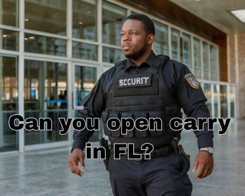 an armed security guard working