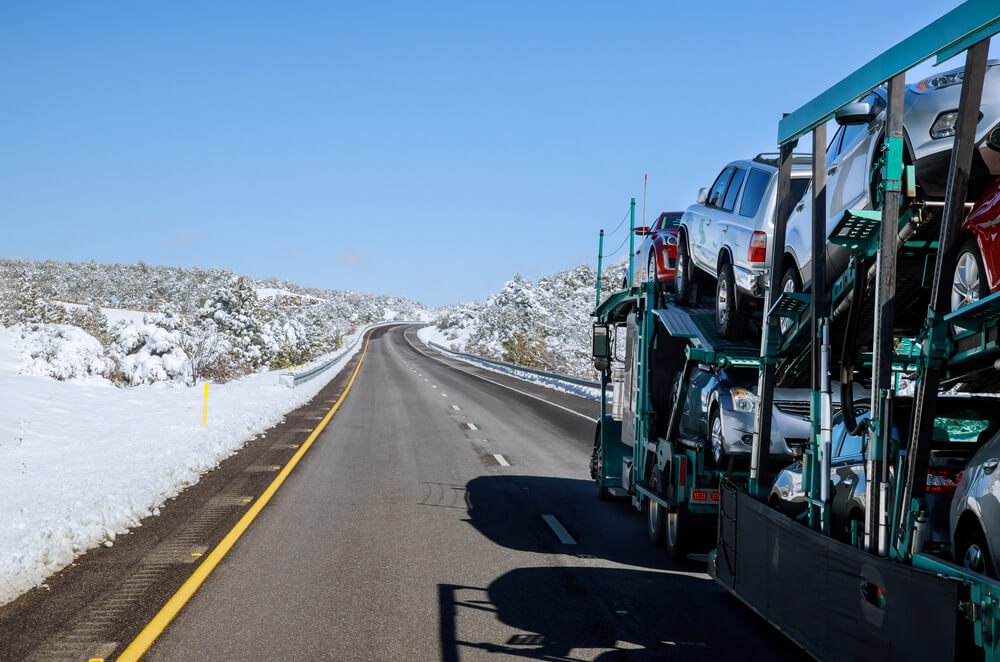 Top-rated Vehicle Shipping Company